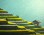 Malaysia01